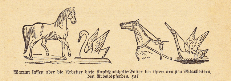 Aufsatz-Zuegel-Berliner-TschV-Flugblatt-56-s2_crop